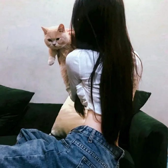 犯罪元素