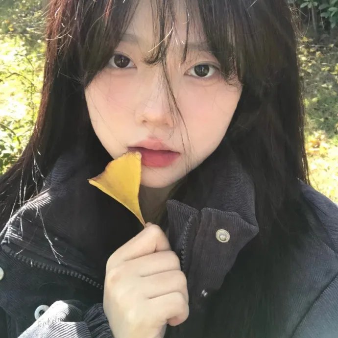 四子复仇记